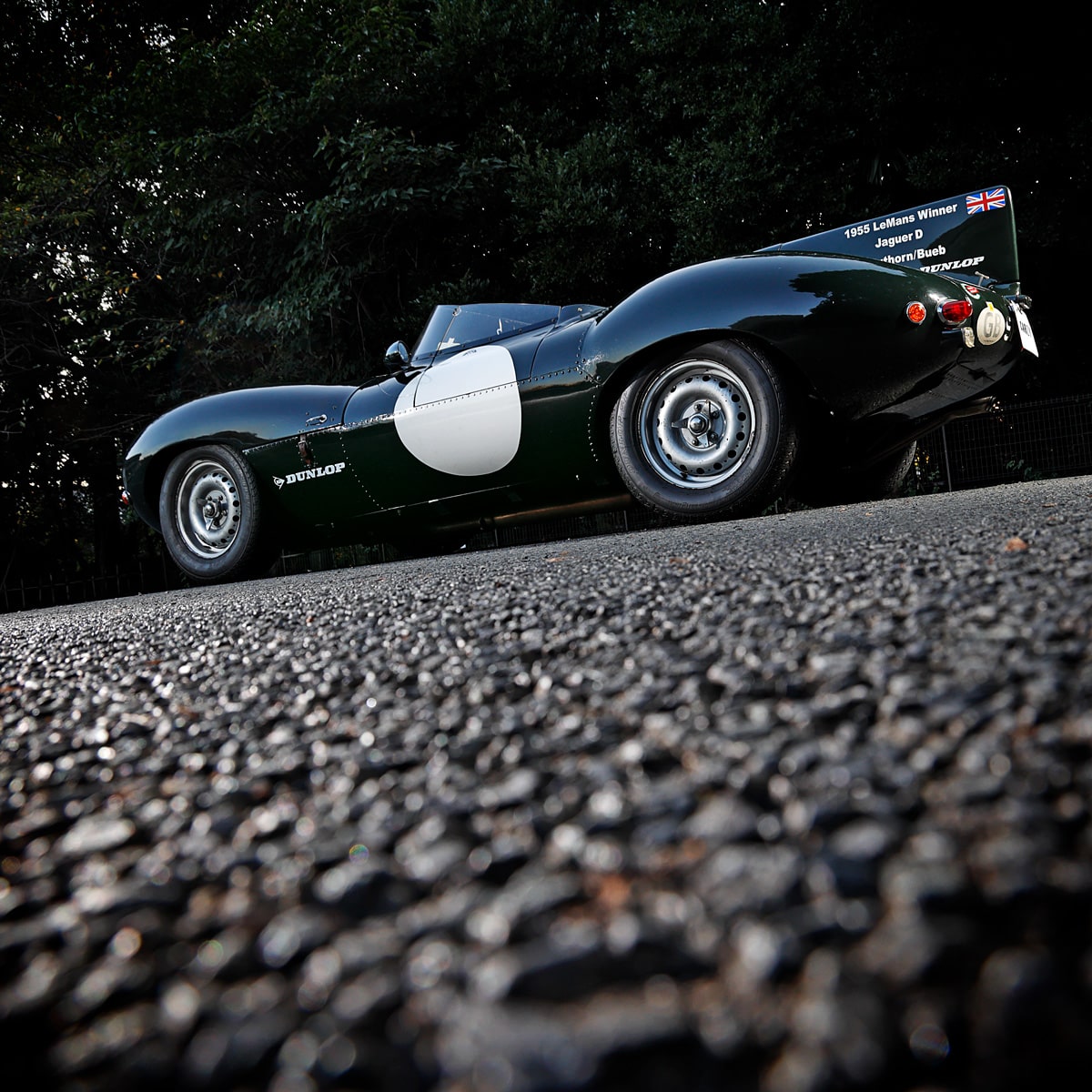 Jaguar / D type Replica