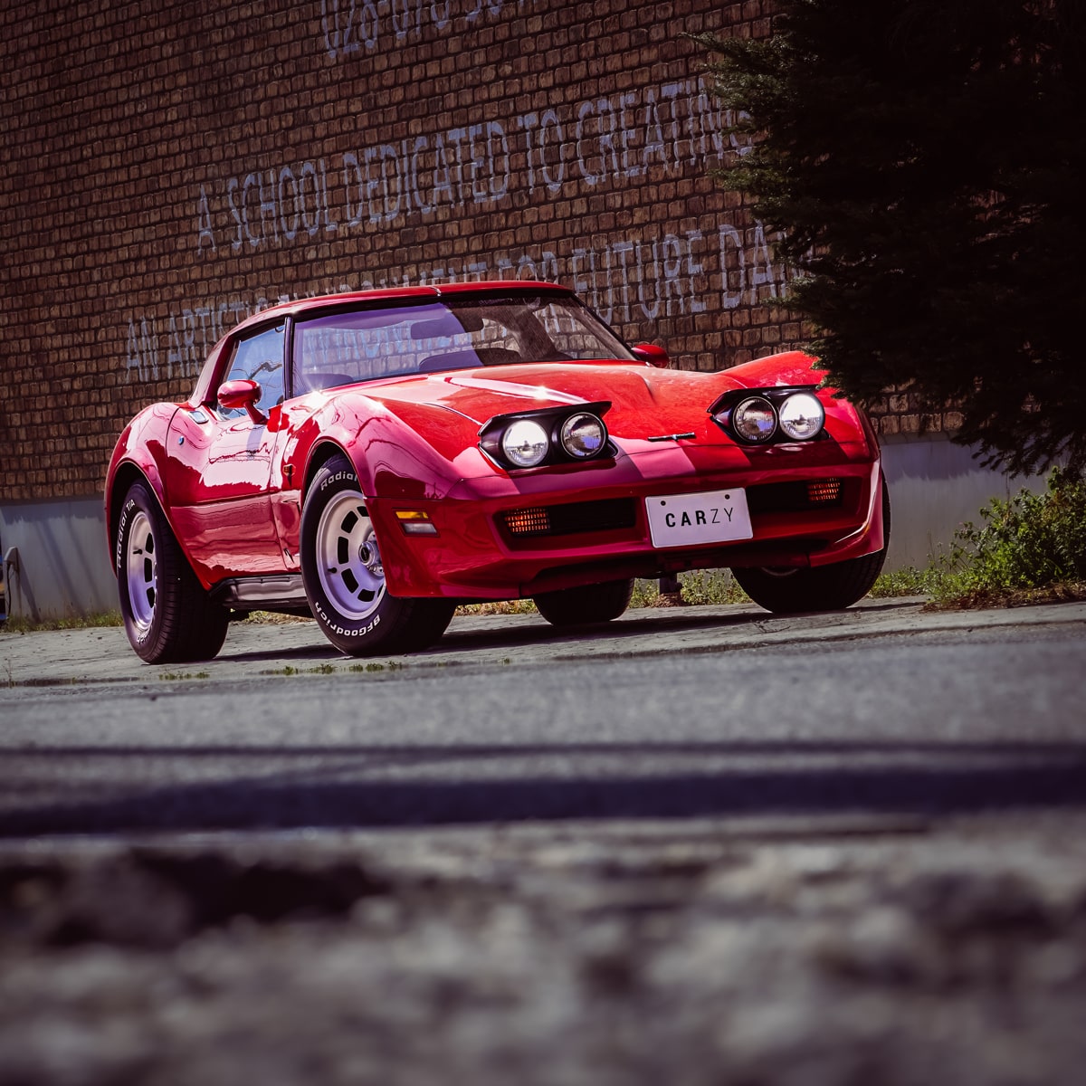 Chevrolet / Corvette Stingray