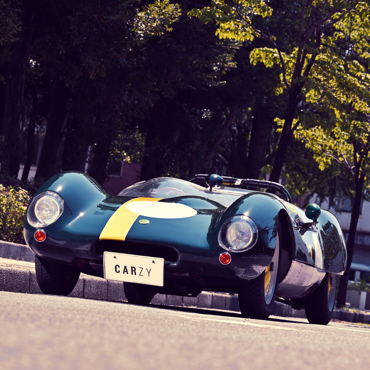 Lotus / 17